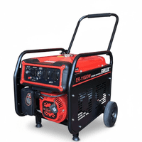 Generador Erux Monofásico Con Control De 4,5Kva