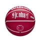 thumbnail image 2 of Balón Baketball Jr Nba Drv Fam Logo Bskt, 2 of 3