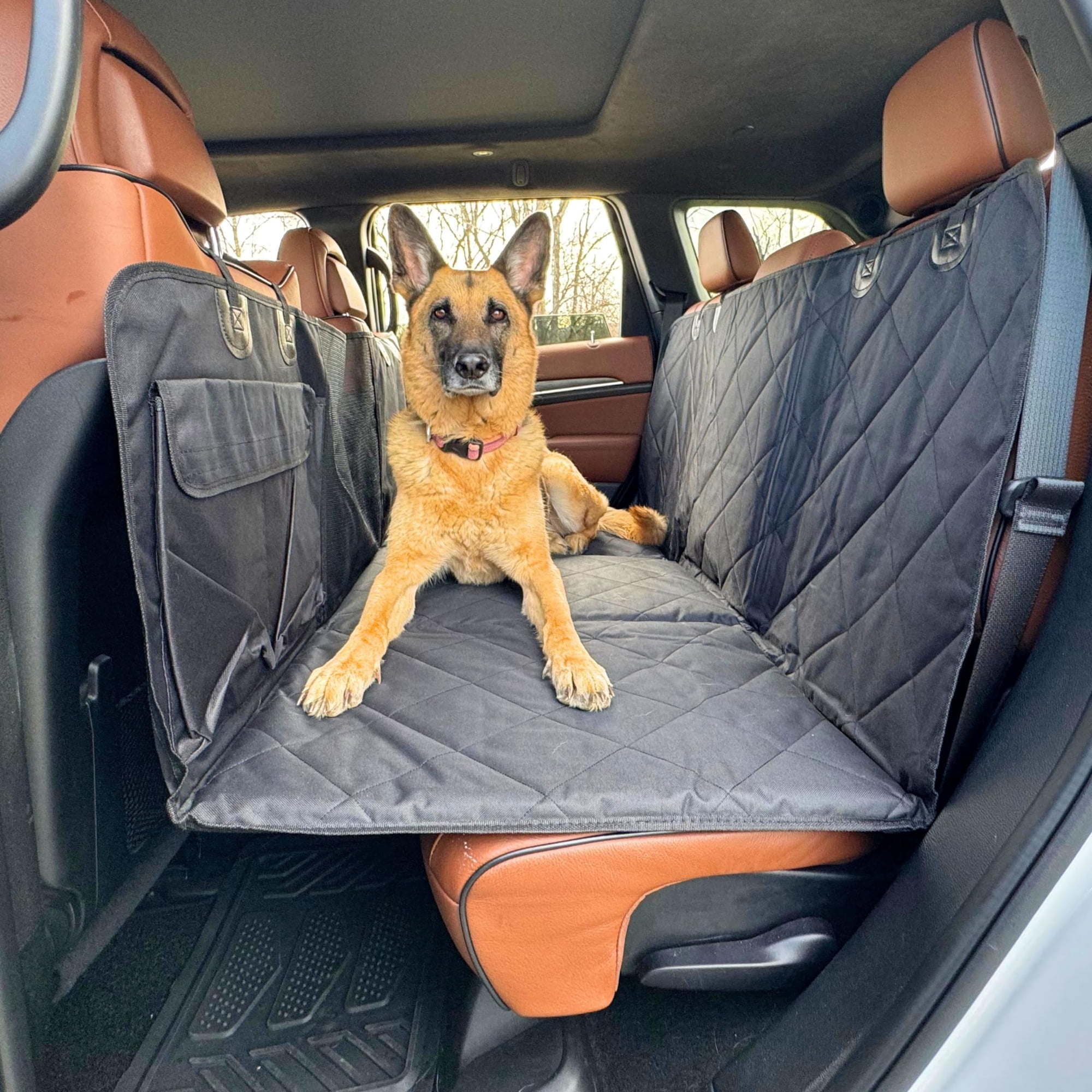 Extensor De Asiento Trasero Para Perros Apetsplanet, Funda Impermeable Para Asiento De Coche