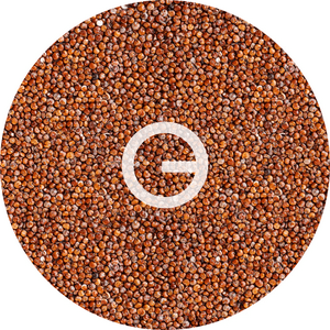 Tnogal - Quinoa Roja 5Kg
