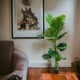 thumbnail image 3 of Planta Artificial Tortuga Decorativa Adorno Verde Jhn, 3 of 3