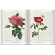 thumbnail image 5 of Roses · Redouté · Pocket Book, 5 of 5