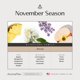 thumbnail image 2 of Aceite para difusor AROMAPLAN 148 ml Temporada de Noviembre, 2 of 6