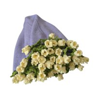 Bothyi - Kit De Crochet Para Manta De Flores. Kit De Inicio Para Principiantes Entusiastas.