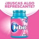 thumbnail image 2 of Chicle Sin Azúcar Professional Bubblemint 6x64 grs, 2 of 4