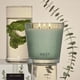 thumbnail image 3 of Vela NEST New York 600 g Menta Silvestre y Eucalipto, 3 of 6