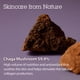 thumbnail image 4 of Crema reafirmante de la piel BLITHE Pressed Serum Chaga Mushroom, 4 of 5