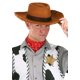 thumbnail image 1 of Sombrero de vaquero elope Standard Toy Story Woody, 1 of 5