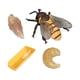 thumbnail image 4 of Figuras Del Ciclo De Crecimiento Animal, Accesorios De Ense?anza Para Ni?os Y Ni?as, Abeja De Aprendizaje Preescolar, 8x3cm, 4 of 5