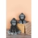 thumbnail image 4 of Juguete de peluche Fahlo Tracking Gorilla con mapa 3D interactivo x12, 4 of 9