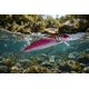 thumbnail image 2 of Señuelo Poseidon Minnow 10 g Pink Brown Trout para Trucha y Salmón 2 Anzuelos Triples, 2 of 5