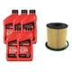 thumbnail image 1 of Kit Mantención Ford Territory Filtro Aceite Y Aceite 5w20, 1 of 3