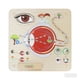 thumbnail image 1 of Tablero De Pared Sentido De La Vision, 1 of 2