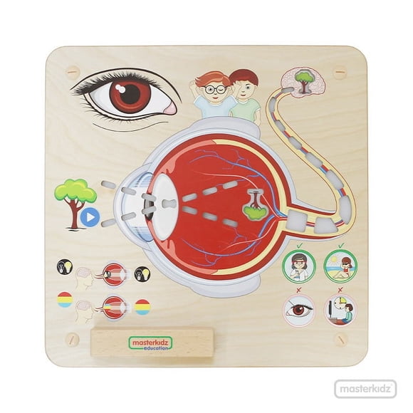 Tablero De Pared Sentido De La Vision