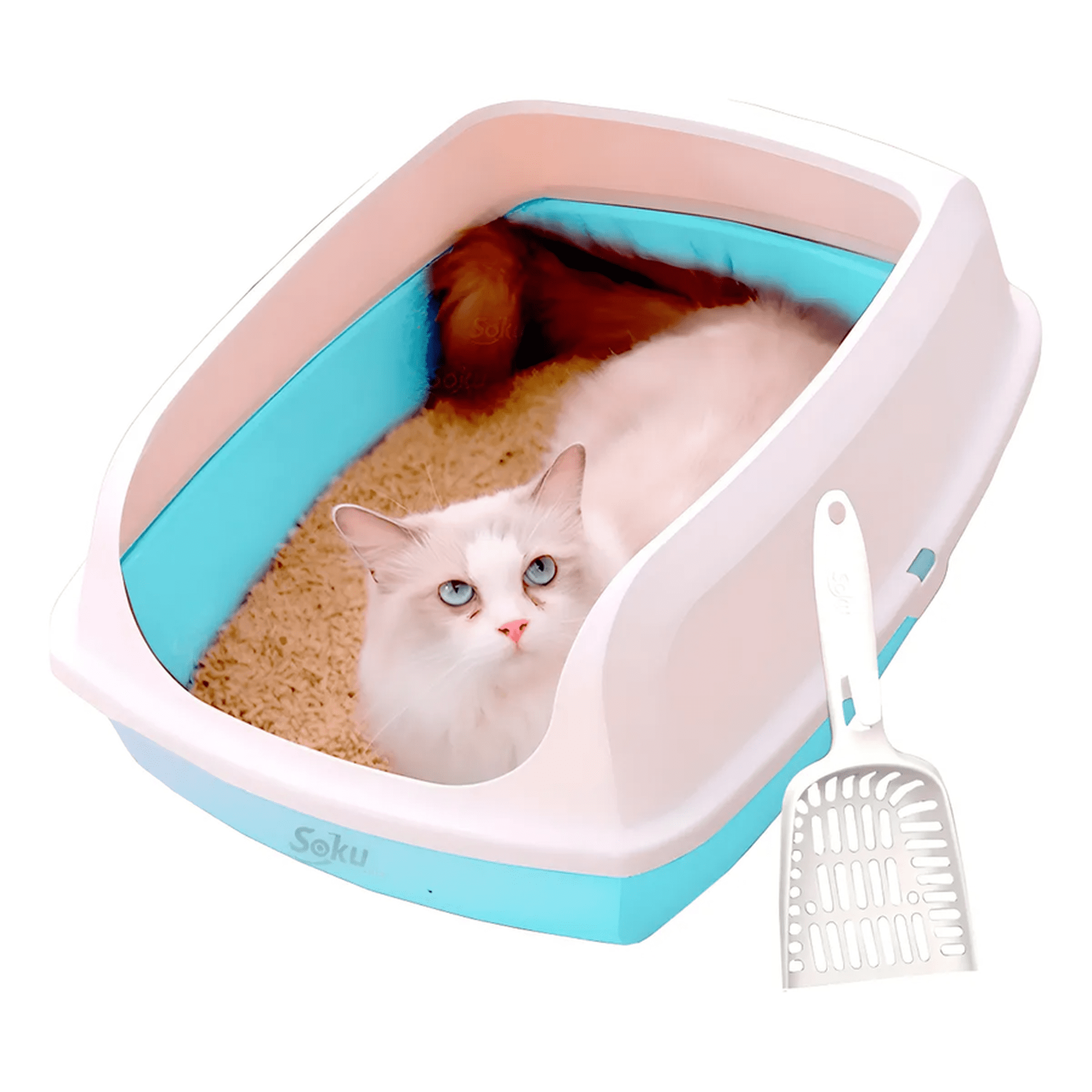 Arenero Gato Extension Anti Derrame Pala Caja Grande Color Azul cielo