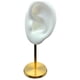 thumbnail image 5 of Soporte De Exhibición De Pendientes Modelo De Oreja Soporte De Perno Con Base Para Escaparate De Cumplea?os Blanco Izquierdo, 5 of 5