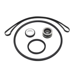 Ioensy - Sp3000X Juego De Juntas Tóricas Y Juntas De Sello De Eje Ps-201 Pieza De Sello De Eje Serie De Bombas De Piscina