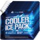 thumbnail image 1 of Paquete de 6 Bolsas de Hielo RIDGECOOL 25x25 cm Reutilizables y a Prueba de Fugas, 1 of 6