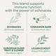 thumbnail image 2 of Té Tradicional Medicinals Immune Zoom con saúco y equinácea, 2 of 7