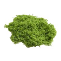 Bothyi - Adornos De Musgo Falso, Plantas Verdes Simuladas Para Terrarios, Macetas De Jardín, M, Verde Claro