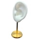 thumbnail image 1 of Soporte De Exhibición De Pendientes Modelo De Oreja Soporte De Perno Con Base Para Escaparate De Cumplea?os Blanco Izquierdo, 1 of 5