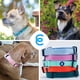 thumbnail image 5 of Collar para perro Blueberry Pet Essentials Rouge Red Nylon XS, 5 of 6