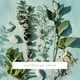 thumbnail image 2 of Ambientador de Área ScentAir Australian Coast – Recarga Mensual, 2 of 9