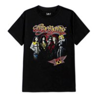 Fanshirt - Polera Estampada Aerosmith Integrantes