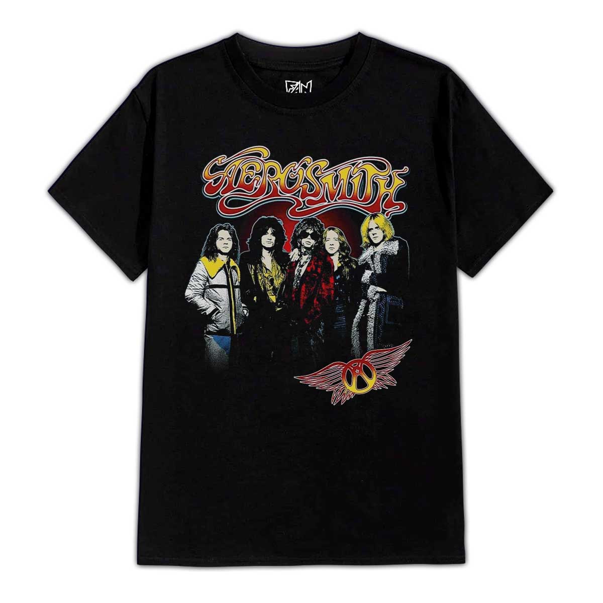 Fanshirt - Polera Estampada Aerosmith Integrantes