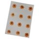 thumbnail image 2 of 12 Flores Prensadas Secas Para Manualidades, Marcapáginas, Sobres, Fabricación De Jabón, Color Naranja, 2 of 5