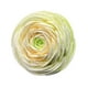 thumbnail image 2 of Clip De Ventilación De Flores Artificiales Adorno De Flores único Mini Clip De Ventilación De Coche De Flores Verde, 2 of 3