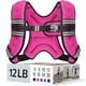 thumbnail image 1 of Chaleco pesado Zeerun de 5,4 kg para mujeres y hombres, 12 libras, rosa, 1 of 8