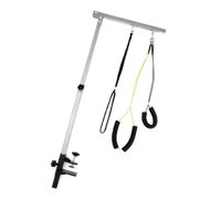 Ioensy - Mesa De Aseo Para Perros Con Brazo, Herramienta Para Mascotas, Suministros Para Perros Pequeños Y Medianos, Corte De Pelo Plateado