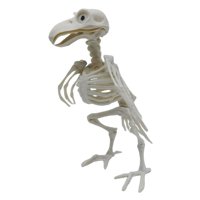 Bothyi - Simulación De Decoración De Esqueleto De Cuervo De Halloween Para Oficina, Escritorio Y Sala De Estar