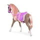 thumbnail image 2 of Caballo Tiara, 2 of 3