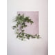 thumbnail image 2 of Hiedra Artificial Zebrina 70cm, 2 of 3