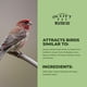 thumbnail image 4 of Mezcla de semillas para aves silvestres Scott Pet Wild Finch Mix, bolsa de 4.54 kg para comederos tu, 4 of 6