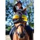 thumbnail image 1 of Gafas de Montar a Caballo eVysor Espejadas Naranja con Protección UV, 1 of 9