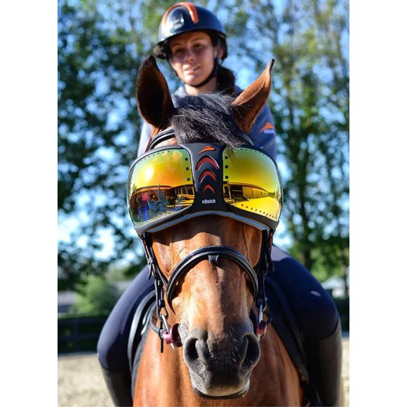 Gafas de Montar a Caballo eVysor Espejadas Naranja con Protección UV
