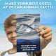 thumbnail image 3 of Juego de cartas Trivia National Geographic Ocean Animals Kids, 3 of 7