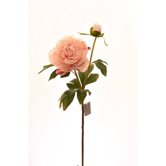 Peonia Rosada Claro 57 Cm