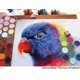 thumbnail image 2 of Pastel Artístico PanPastel PP28208 Tinte Gris Neutro 9ml, 2 of 6