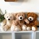 thumbnail image 5 of Ositos de peluche Morismos de 14 pulgadas para niños mayores de 3 años, 5 of 6