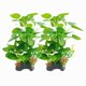 thumbnail image 1 of Plantas de acuario Holyenten 25 cm 2 unidades de seda, seguras para peces, 1 of 6