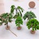 thumbnail image 4 of suxuMhao Árboles Artificiales, 10 Piezas 4.5 X 1.3in Árboles Falsos Árboles Falsos, Escena de Árbol Modelo de Mesa de Arena Decoración de Árbol Modelo Árboles Árbol Simulado, Decoración de Plástico, 4 of 5