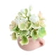 thumbnail image 4 of Planta En Maceta En Miniatura, 1/12, Dormitorio, Modelo De Flor Artificial, Suministros De Paisaje, 4 of 5