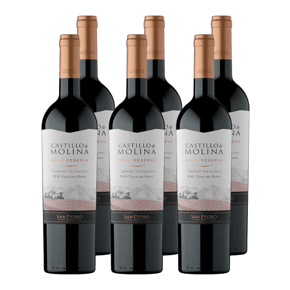 Castillo de Molina Gran Reserva x6
