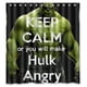 thumbnail image 1 of Cortina de ducha con ganchos "Mantén la calma o enojarás a Hulk" (60 x 72 pulgadas), 1 of 3