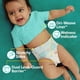 thumbnail image 2 of Pañales Pampers Baby Dry Talla 1 Paquete con 44 Unidades, 2 of 7