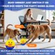 thumbnail image 3 of El juguete interactivo para perros ZanLLw responde a los ladridos, los codazos y las patas, 3 of 7